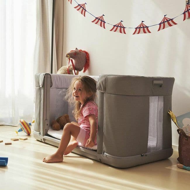 Tote bag containing a plant
